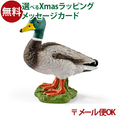 Schleich シュライヒ　鳥　フィギュア　カモ　オス　メス　子ども　親子 sc13824.jpg