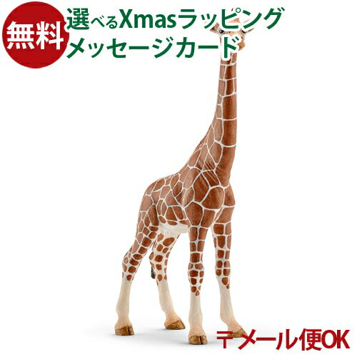᡼OK ưʪ ե奢 schleich 14750 饤 ʥ᥹ äͷ  Ҷ