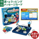 ThinkFun サーキットメイズ おまけ付き ボードゲーム 電気回路 アメリカ ThinkFun（シンクファン） 社 サーキット・メイズ 日本正規品 脳トレ パズル おうち時間 自由研究 子供 入学 入園