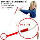 ゴルフ練習器具 ライビースイング C.O. グラビティ・ミサイル ゴルフ スイング練習器具 ヘッドスピードアップ 重心管理 スイング矯正 スピード練習 素振り棒...