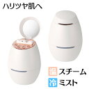 【最大400円OFFクーポン配布中】美顔器 ヤーマン クリアスキンナノスチーマー IS97N ナノス ...