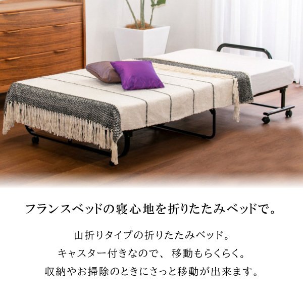 フランスベッド フランス パンテオン N-71...の紹介画像2