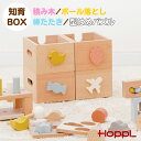 木製玩具 知育玩具 知育おもちゃ 木のおもちゃ おもちゃ 赤ちゃん スタッキングボックストイ 積み木 パズル ラトル ボール 北欧 いちご あひる キャンディ ひこうき くすみカラー 女の子 男の子 ホップル オシャレ 出産祝い プレゼント 誕生日(3)