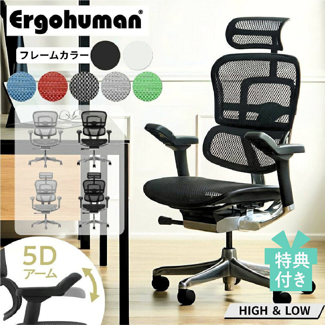 【選べる特典付m】 エルゴヒューマン プロ2 オフィスチェア EHP2-HAM EHP2-LAM Ergohuman Pro2 …