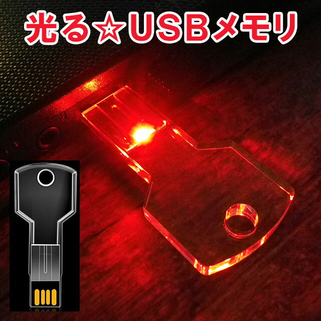 15ޤ ȯ usb 32GB pcб Type-A å  KEY   եå꡼ 襤 ̿ ...