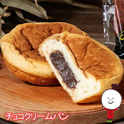 【60日】チョコクリームパン（18個入）ロングライフパン 保存食 お取り寄せ 日持ち する 長期保存 備蓄 非常食 まとめ買い 常温 新生活 入学 入社 朝食 ランチ 母の日