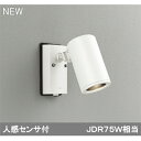 【OG254551P1】オーデリック エクステリア スポットライト LED電球ダイクロハロゲン形 【odelic】
