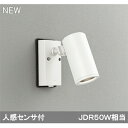 【OG254554P1】オーデリック エクステリア スポットライト LED電球ダイクロハロゲン形 【odelic】