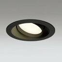 【OD361246LDR】オーデリック S形 ダウンライト 白熱灯60Wクラス 高気密SB 高演色LED LED電球フラット形