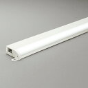 【OL291383R】オーデリック 間接照明 屋内用 薄型タイプ 簡易幕板付 ラインナップ R15タイプ