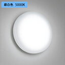 【OG254317R】オーデリック バスルーム・ポーチライト 脱衣場 30W LED一体型 昼白色 調光器不可 ODELIC(3)