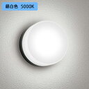 【OG254982NR】オーデリック エクステリア ポーチライト 60W 昼白色 LED 調光器不可 ODELIC