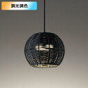 【OP252889BR】オーデリック ペンダントライト 白熱灯器具 40W LED 電球色-昼光色 調色・調光器不可 コントローラー別売 ODELIC
