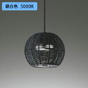 【OP252890NR】オーデリック ペンダントライト 白熱灯器具 40W LED 昼白色 調光器不可 ODELIC
