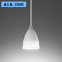 【OP252576NR】オーデリック ペンダントライト 60W 昼白色 LED 調光器不可 ODELIC