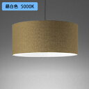 【OP252604NR】オーデリック ペンダントライト 60W LED 昼白色 調光器不可 ODELIC