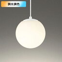 【OP252672BR】オーデリック ペンダントライト 100W 白熱灯器具 LED 電球色-昼光色 調色・調光器不可 コントローラー別売 ODELIC