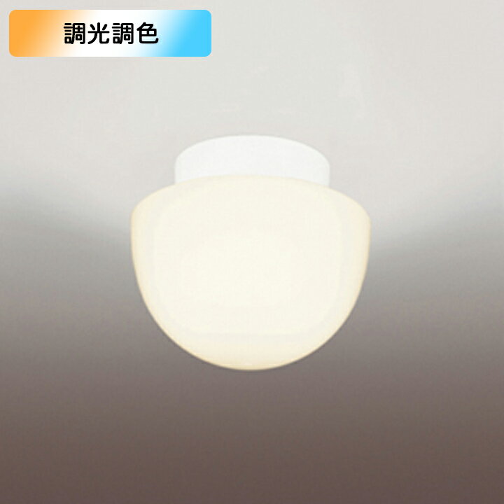 【OW269046RG】オーデリック バスルーム 脱衣場 白熱灯器具 60W LED 電球色昼光色フルカラー調色・調光器不可 コントローラー別売 ODELIC