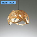 【OP252908NR】オーデリック ペンダントライト 60W 昼白色 LED 調光器不可 ODELIC