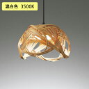 【OP252908WR】オーデリック ペンダントライト 60W 温白色 LED 調光器不可 ODELIC