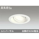 【OD361245BL】オーデリック ダウンライト LED電球フラット形 【odelic】