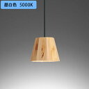 【OP252941NR】オーデリック ペンダントライト LED電球フラット形 高演色LED 白熱灯器具60W相当 フレンジ 調光器不可 昼白色 ODELIC