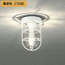 【OG254607LR】オーデリック ブラケットライト LED電球クリアミニクリプトン形 高演色LED 白熱灯器具40W相当 調光器不可 電球色 ODELIC