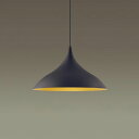 【LGB15493】パナソニック LEDペンダント 天井吊下型 アルミセードタイプ・引掛シーリング方式 黒鉄色 ランプ別売 【panasonic】