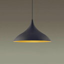 【LGB15193】パナソニック LEDペンダント 天井半埋込吊下型 アルミセードタイプ 黒鉄色 ランプ別売 【panasonic】