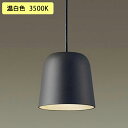 【XLGB1009CE1】パナソニック ペンダントライト LED(温白色) 直付タイプ 吊下型 プラスチックセードタイプ 拡散タイプ 白熱電球60形1灯器具相当