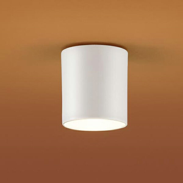 【LGB58079F】パナソニック ダウンシーリング LED電球交換可能 40形電球1灯器具相当 受注生産品 panasonic