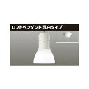 【LEDP-60421WK-LS9】東芝 LEDロフトペンダント 乳白タイプ 白色 【TOSHIBA】