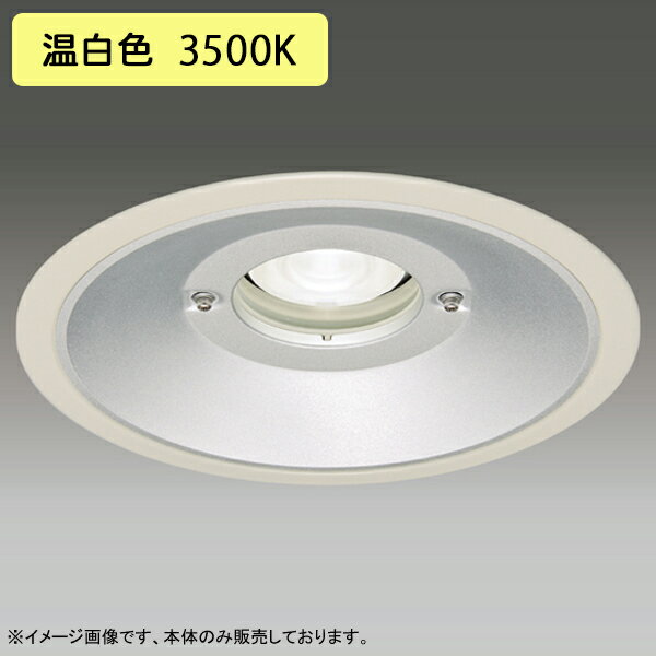 LEDD-60981WW LEDη饤  250  ۸ 75 ѥ  Ÿ˥å   TOSHIBA