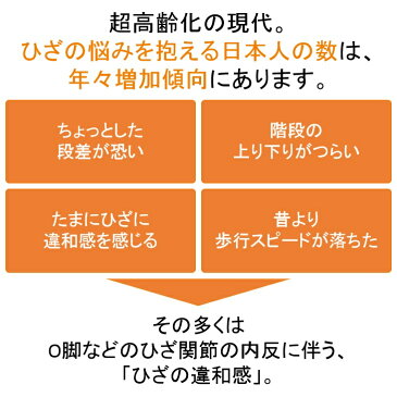 RAKUWALK(ラクウォーク) KNEES UP(ニーズアップ) RL-9003 靴 シューズ レディース 女性 ウォーキングシューズ リハビリ 介護シューズ レディス スニーカー 紐タイプ アシックス商事【送料無料】