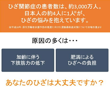 RAKUWALK(ラクウォーク) KNEES UP(ニーズアップ) RL-9003 靴 シューズ レディース 女性 ウォーキングシューズ リハビリ 介護シューズ レディス スニーカー 紐タイプ アシックス商事【送料無料】