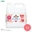 キレイキレイ ハンドソープ 泡 フォーム 手洗い スキンケア 薬用 医薬部外品 キレイキレイ 薬用泡ハンドソープ フルーツミックスの香り 4L 【4L】洗浄 殺菌 清潔 感染対策 フルーツミックス ライオンハイジーン【送料無料】