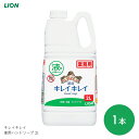 キレイキレイ ハンドソープ 液体 手洗い スキンケア 薬用 医薬部外品 キレイキレイ 薬用ハンドソープ 2L　【2L】洗浄 殺菌 清潔 植物性 感染対策 シトラスフルーティ ライオンハイジーン