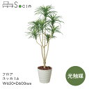 SOCIA ユッカ 植物 観葉植物 フェイクグリーン 光触媒 緑 インテリア オフィス G-YK16 フロア ユッカ1.6　【W650×D600×H1600】おしゃれ インテリア 癒し 抗菌 消臭 防汚 完成品 日本製 弘益