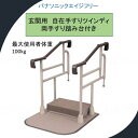 玄関用 自在手すり ツインディ 両手すり踏み台付 XPN-L80201 介護用品 立ち上がり 手すり パナソニック【送料無料】