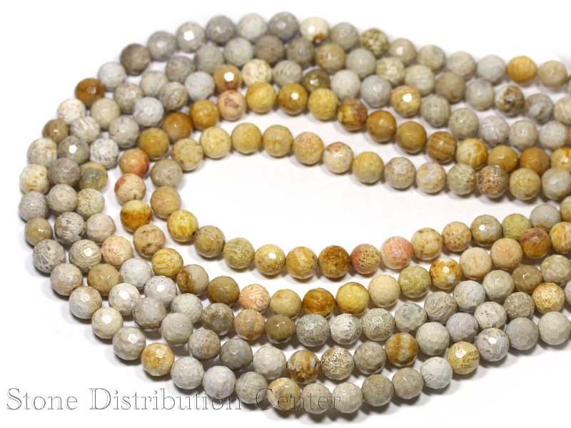 ڥåȥӡ۲л(ե륳) 8mm 128̥å (̸꾦)ڥѥȡ ŷ ꡼ 1Ϣ