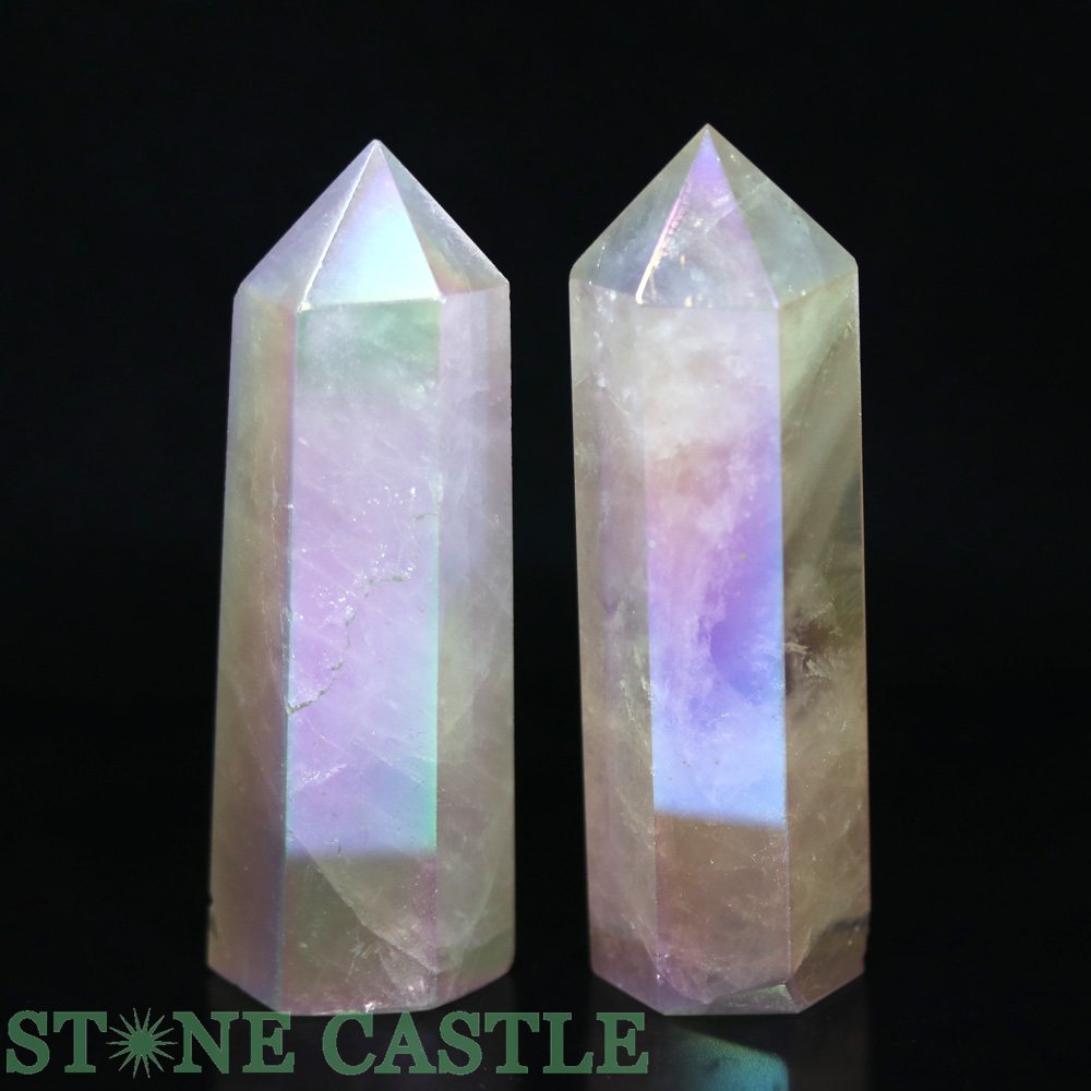 ������ʪ�����֤��Сۥݥ���ȷ� �������������ĥ����� (2�ܥ��å�) No.79�ڥѥ���ȡ��� ŷ���� ���������꡼��