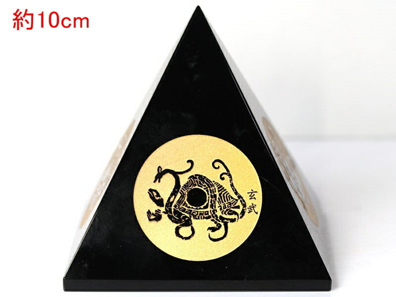 ֤Сۥԥߥåɷ ֥ǥ Ϳ (Ħ) 10cm ڥѥȡ ŷ ꡼