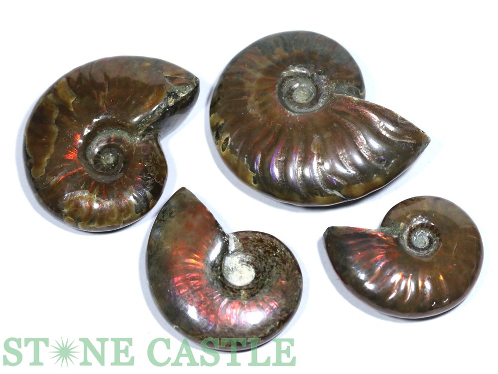 ������ʪ���ڲ��Сۥ����饤��(�����饤��) (4�ĥ��å�) No.27�ڥѥ���ȡ��� ŷ���� ���������꡼ ��ǥ����� ��󥺡�