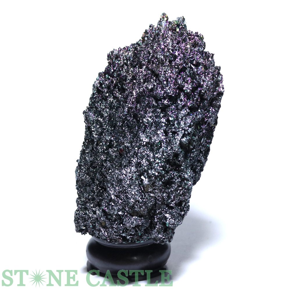 ������ʪ���ڸ��Сۥ쥯�饤���ȡ��� (����) No.54�ڥѥ���ȡ��� ŷ���� ���������꡼ ��ǥ����� ��󥺡�