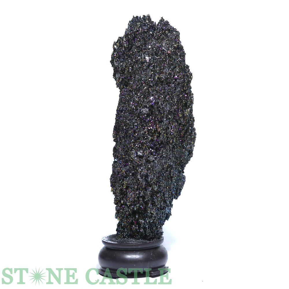 ������ʪ���ڸ��Сۥ쥯�饤���ȡ��� (����) No.55 ���ò����ڥѥ���ȡ��� ŷ���� ���������꡼ ��ǥ����� ��󥺡�