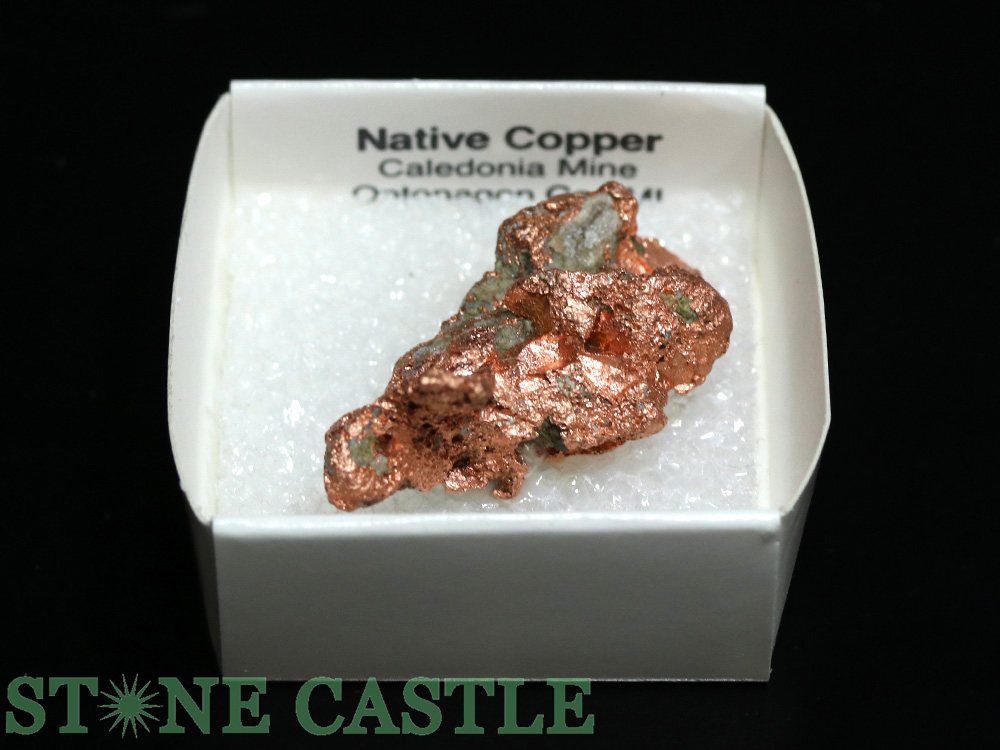 ������ʪ���ڸ��Сۼ���Ƽ (����ꥫ���ߥ����󽣻�) No.42�ڥѥ���ȡ��� ŷ���� ���������꡼ ��ǥ����� ��󥺡�