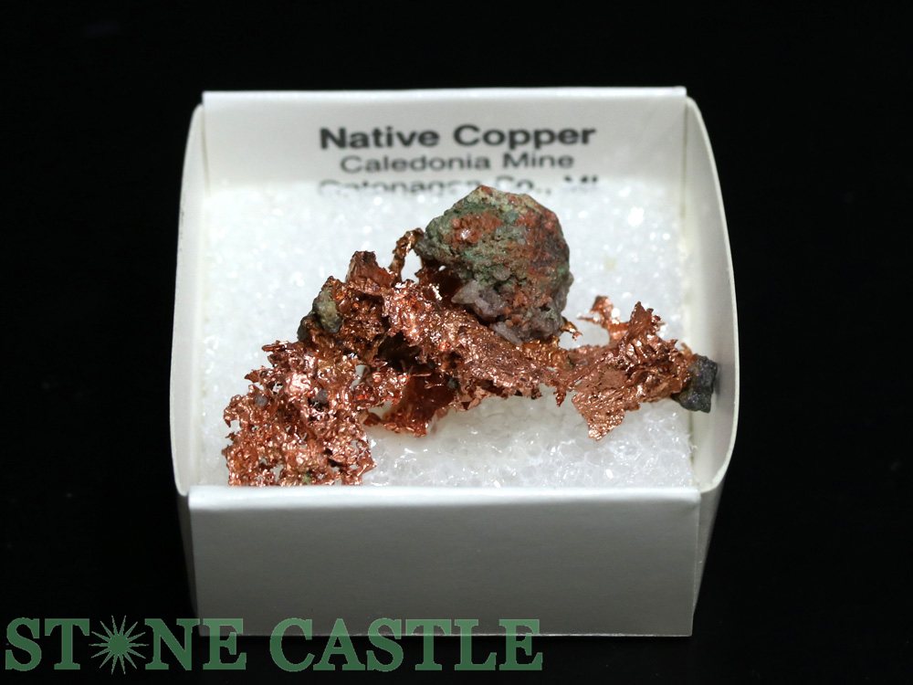 ������ʪ���ڸ��Сۼ���Ƽ (����ꥫ���ߥ����󽣻�) No.43�ڥѥ���ȡ��� ŷ���� ���������꡼ ��ǥ����� ��󥺡�