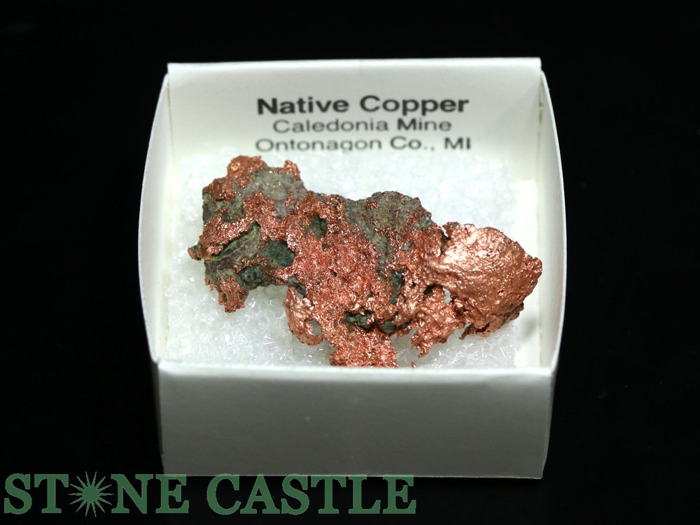 ������ʪ���ڸ��Сۼ���Ƽ (����ꥫ���ߥ����󽣻�) No.44�ڥѥ���ȡ��� ŷ���� ���������꡼ ��ǥ����� ��󥺡�