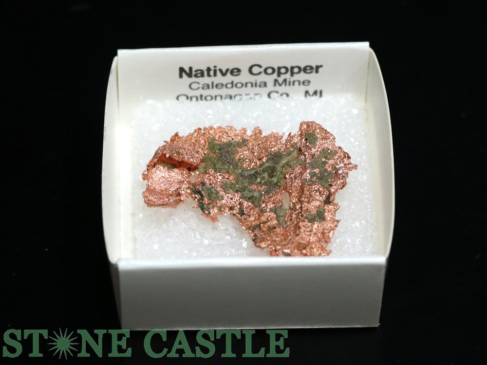 ������ʪ���ڸ��Сۼ���Ƽ (����ꥫ���ߥ����󽣻�) No.45�ڥѥ���ȡ��� ŷ���� ���������꡼ ��ǥ����� ��󥺡�