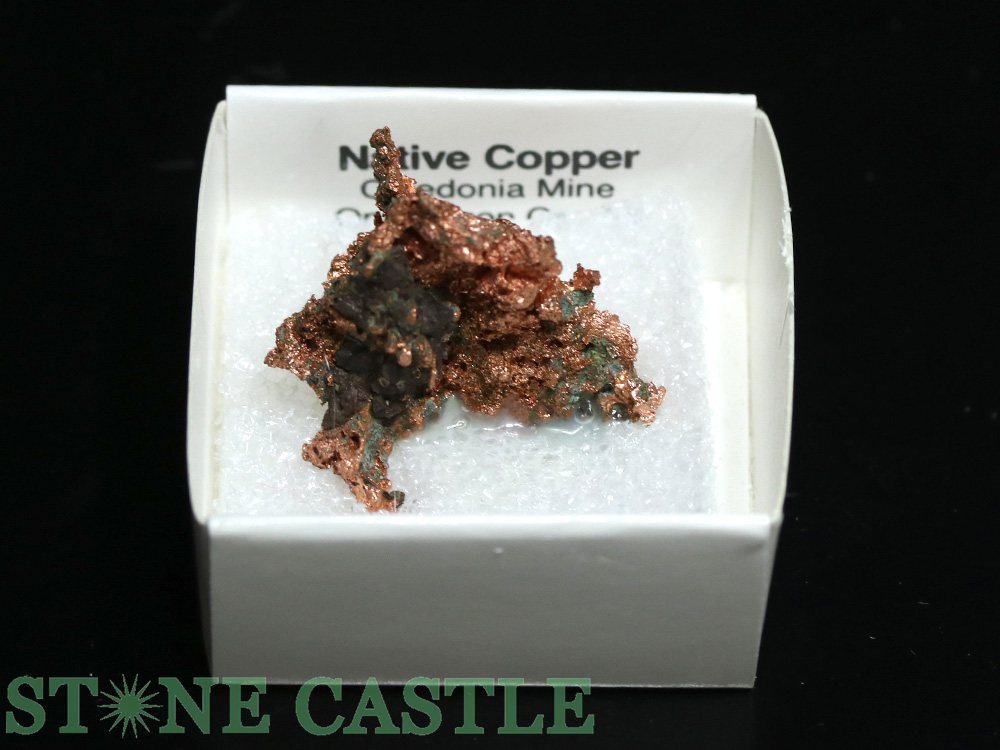 ������ʪ���ڸ��Сۼ���Ƽ (����ꥫ���ߥ����󽣻�) No.47�ڥѥ���ȡ��� ŷ���� ���������꡼ ��ǥ����� ��󥺡�